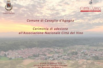 Sfoglia la galleria